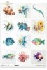 błazenek, skrzydlica, iglicznia, wargacz, mandaryn, papugoryba, akwarela, ryby*clownfish, lionfish, pipefish, wrasse, mandarinfish, parrotfish, watercolor, fish